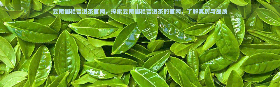 十大茶厂中的佼佼者：探究国艳普洱茶的品质与历