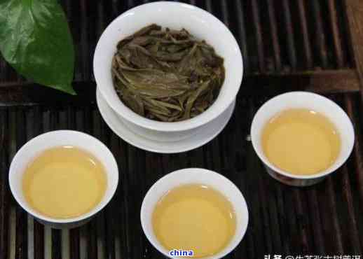 醇厚陈香普洱茶：品鉴与珍藏的完美结合