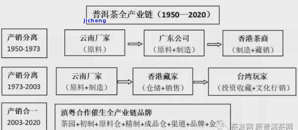 探索七彩普洱茶的源头：从茶园到消费者，了解普洱茶的完整产业链