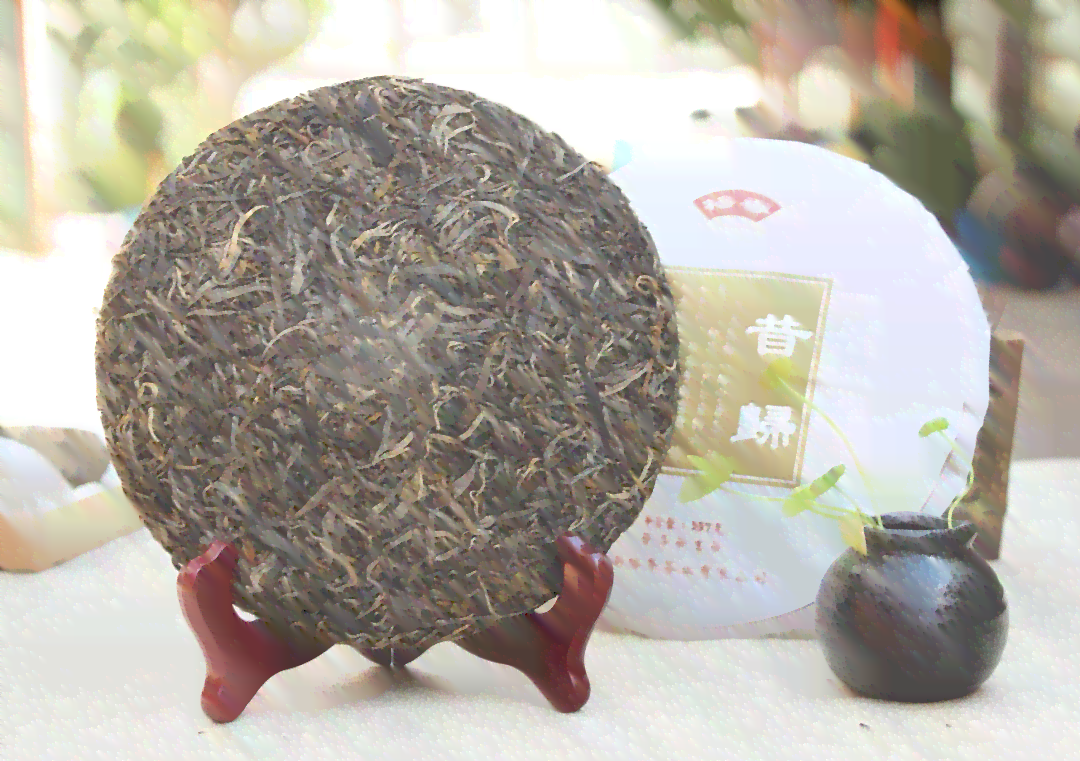 375克普洱茶昔归，古树茶价格分析与品鉴指南