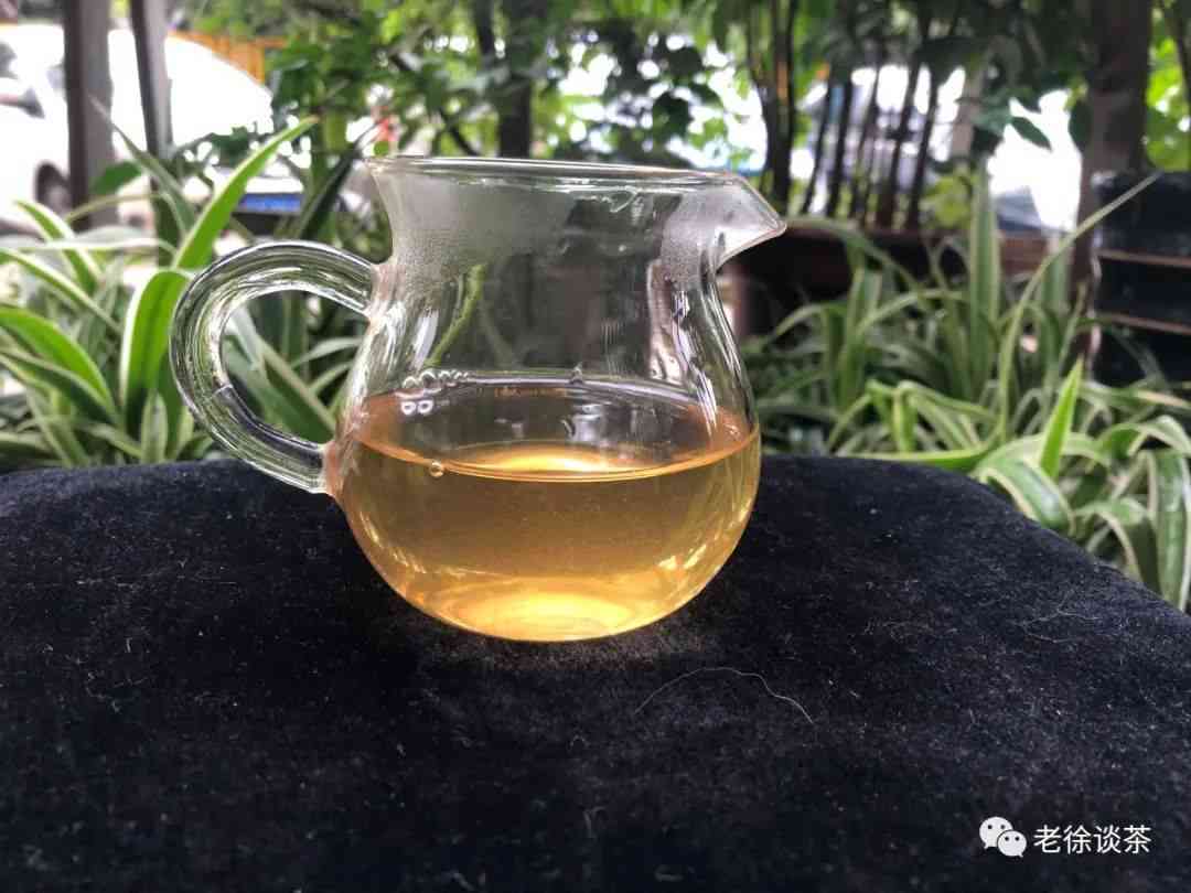 昔归普洱茶的口感：详细解析与品鉴指南，让你全面了解它的美妙味道！