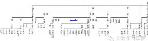 汕头玉石村黄氏家族世系图：探究玉石村黄氏辈分及其历史渊源