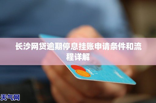 网贷停息挂账是真的吗2023年还款