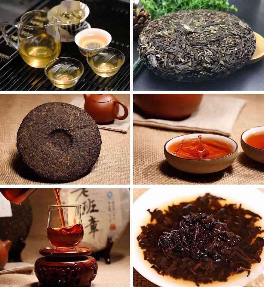 全方位解析：茗山优品普洱茶的品质、产地、泡法与品鉴，让你喝懂普洱茶