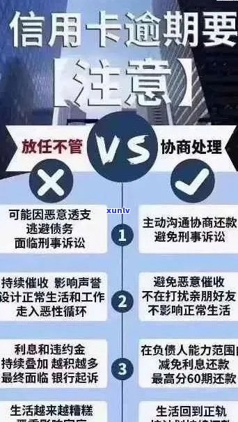 逾期信用卡的后果与银行工作稳定性：一次深度解析