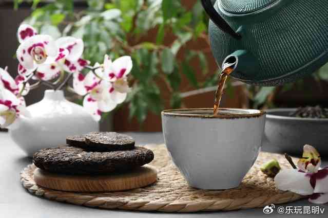 传统佳节，品味端午：普洱茶礼传递浓浓福