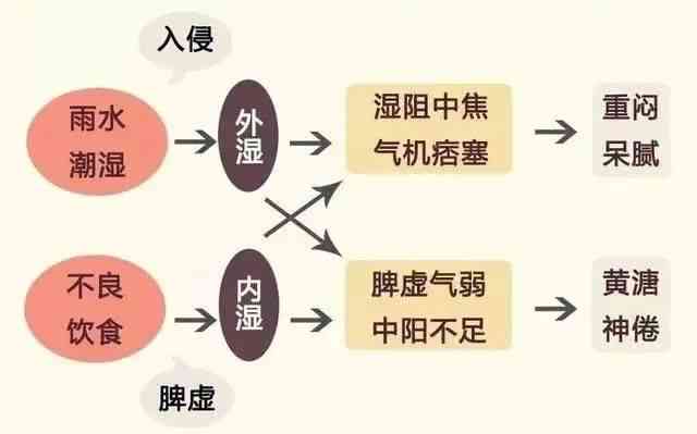 痰湿体质如何调理发汗？了解痰湿体质发汗的方法和注意事项