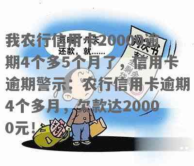 我农行信用卡20000逾期4个多5个月了会怎么样？