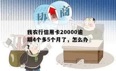 我农行信用卡20000逾期4个多5个月了会怎么样？