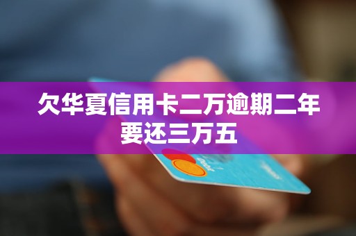 逾期一年的信用卡欠款1万，你需要支付多少利息和滞纳金？全面解析还款详情