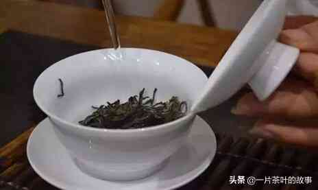 矿泉水做普洱茶