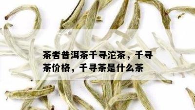 千峪千寻普洱茶价格表与千瀹号普洱茶详细介绍