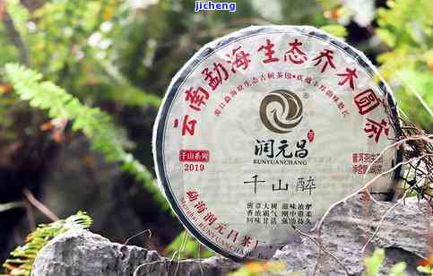 千峪千寻普洱茶价格表与千瀹号普洱茶详细介绍