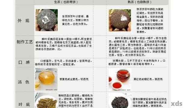 专业普洱茶技术网站：提供全面的普洱茶知识与深度解析