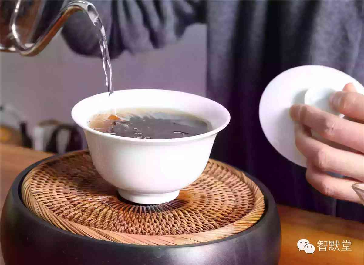 专注一泡普洱茶