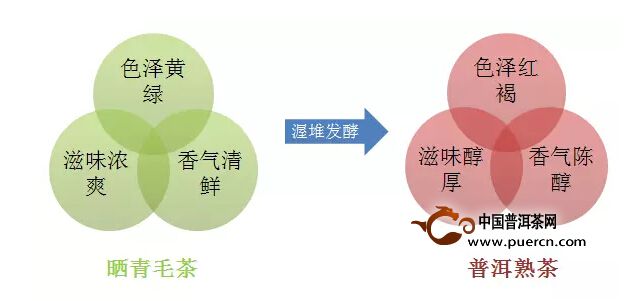 初心未改：探究茶叶价格与其品质的关系