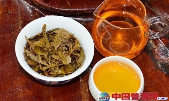 普洱茶与云配的完美融合：品鉴独特风味与健益处的极指南