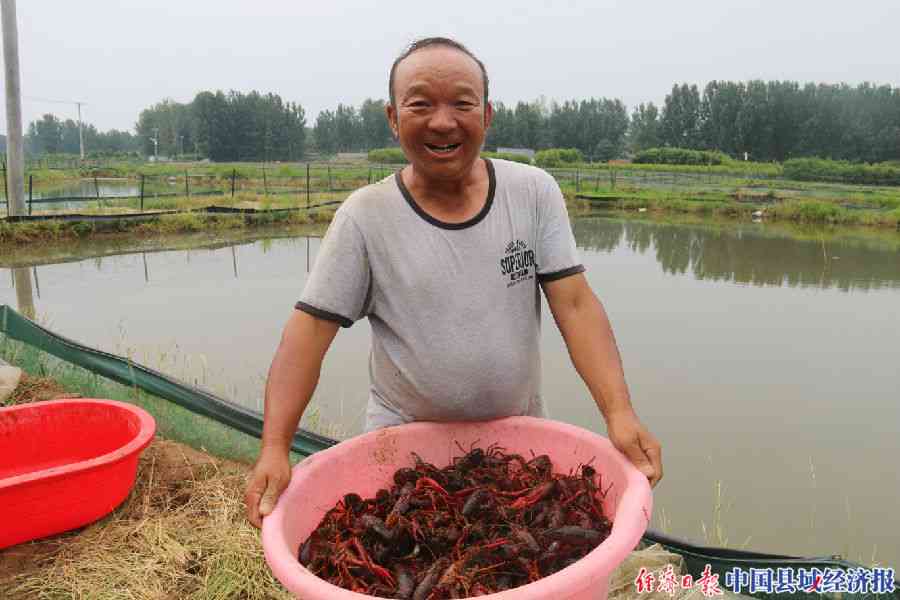 南召县白河：自然风光、历史文化与旅游景点的综合探索