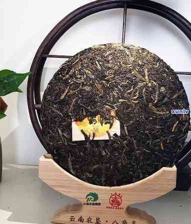 大益茶凤集：纯正大益普洱茶的品质之选