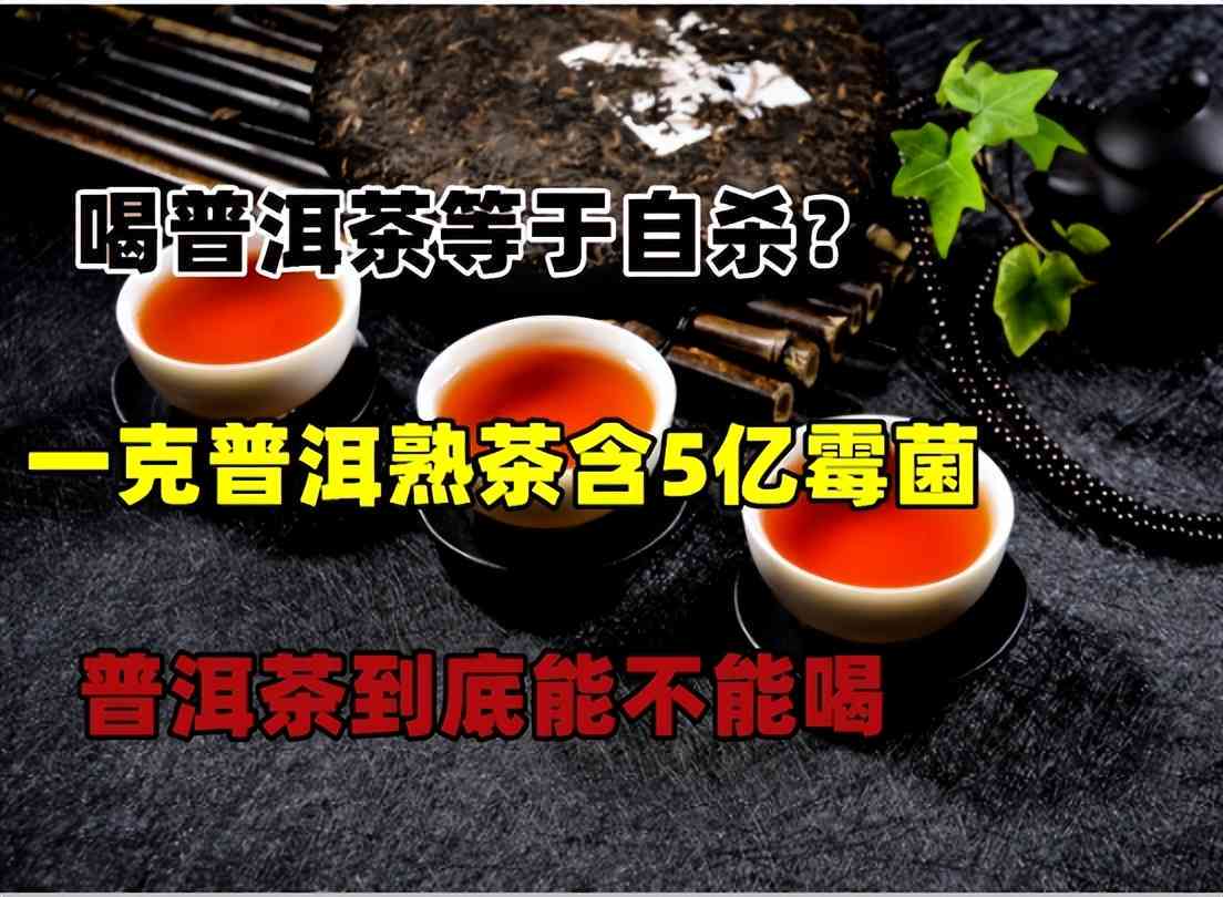 普洱茶存放在70%湿度下会发霉吗？如何正确保存普洱茶以避免霉菌滋生？