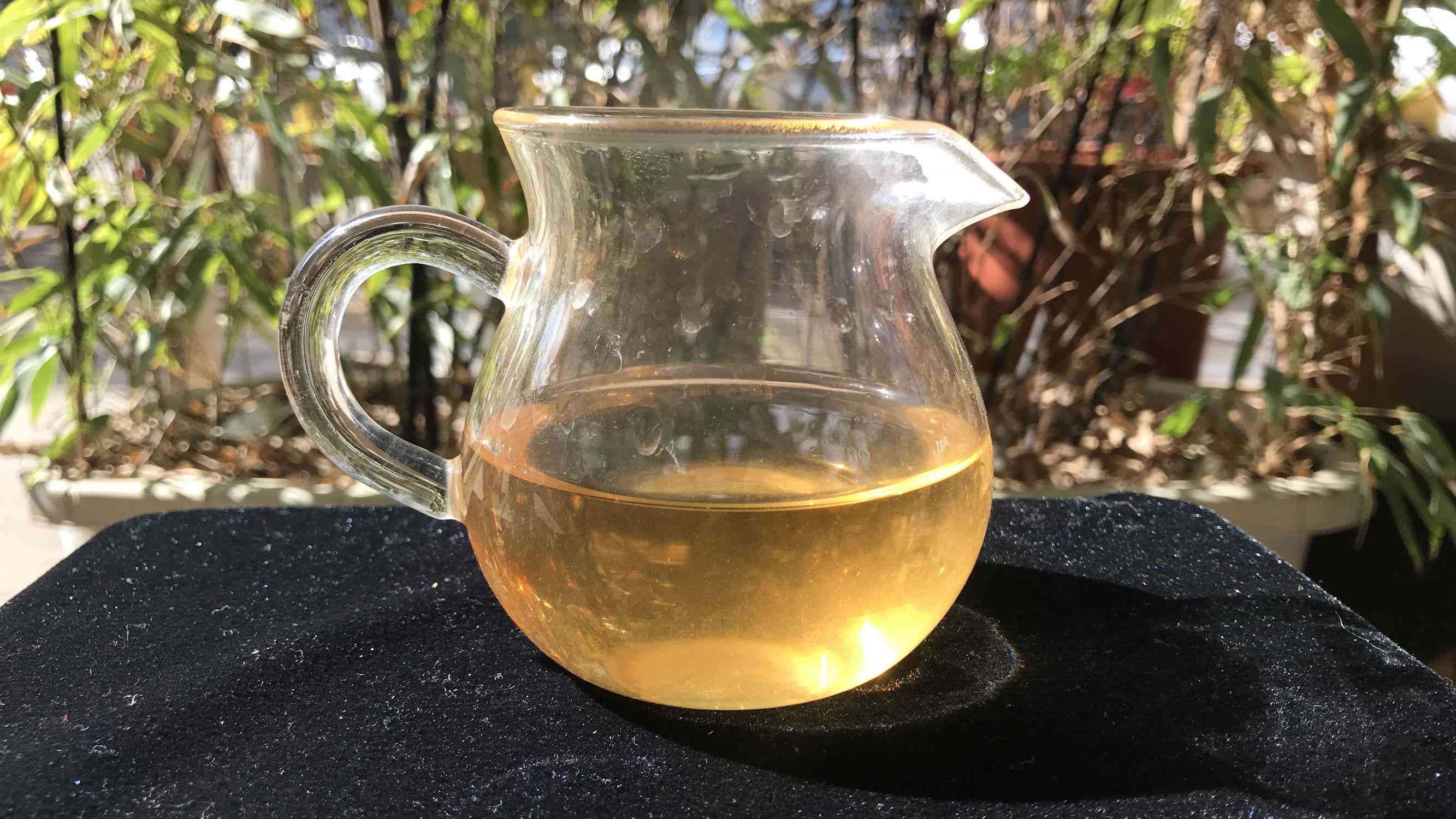 春品鉴普洱茶：哪款茶最适合您的口味？全面推荐与比较