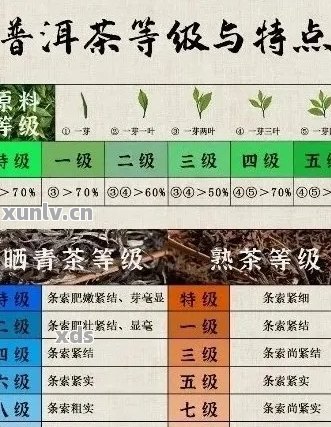 景谷茶区普洱茶：口感特征与鉴方法的深入研究