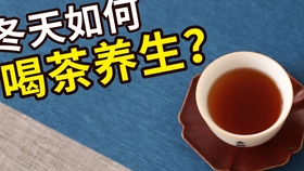 瓷罐与罐：存普洱茶的选择对比分析