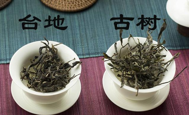 普洱茶分辨霉味：如何识别与判断普洱茶中是否含有霉味？