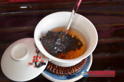 熟普洱茶7581真伪鉴别：能喝吗？