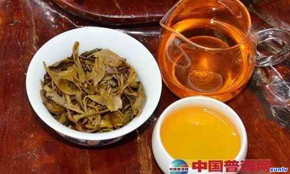 '花茶与普洱茶混合冲泡的功效：一次探索茶叶的多元融合'