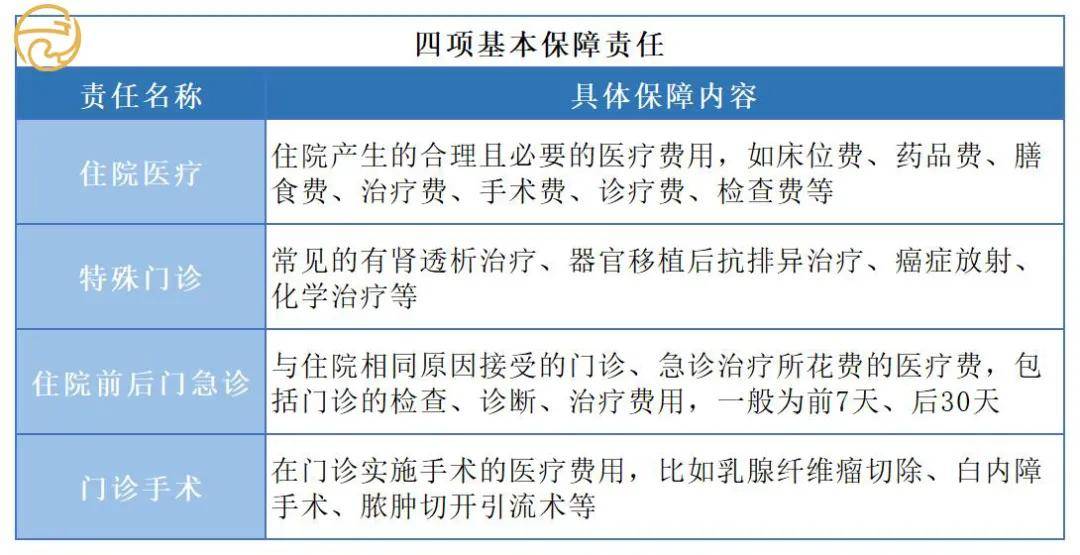 金膏玉产地地址与联系方式，如何购买及质量保证全解析