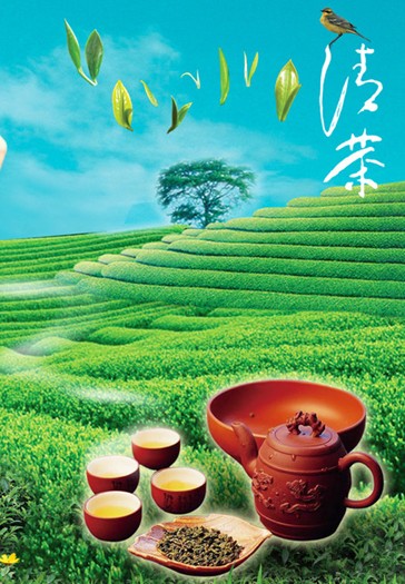 瀚臣茶叶普洱茶