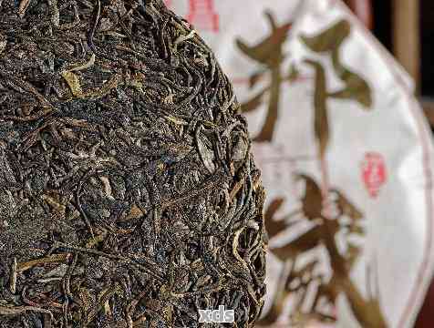 邦丙普洱茶的产地及品种：了解这款茶叶的完整信息