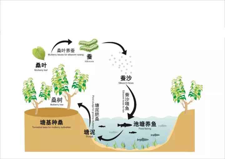 雨生百谷文：探究自然界中的雨水对农业、生态和文化的影响与意义