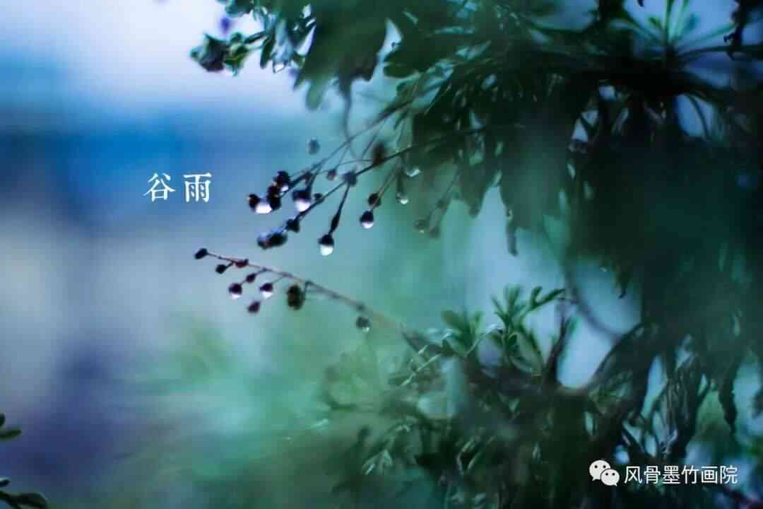 雨生百谷在线阅读：讲述生命与自然的故事