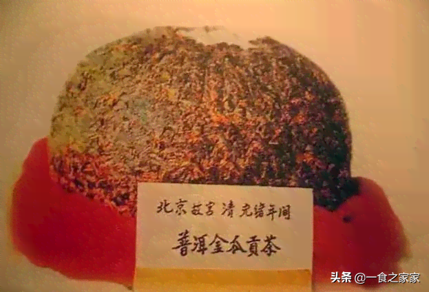 普洱茶金沱贡茶