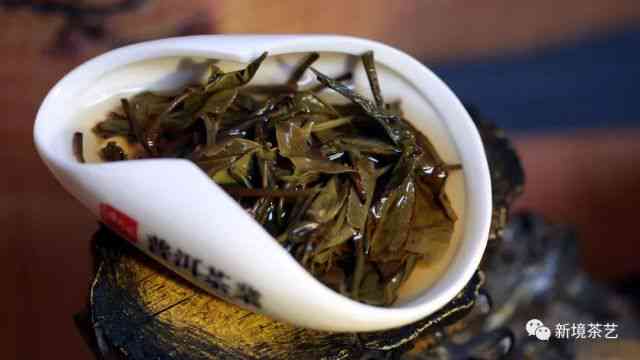 迷帝普洱茶春茶