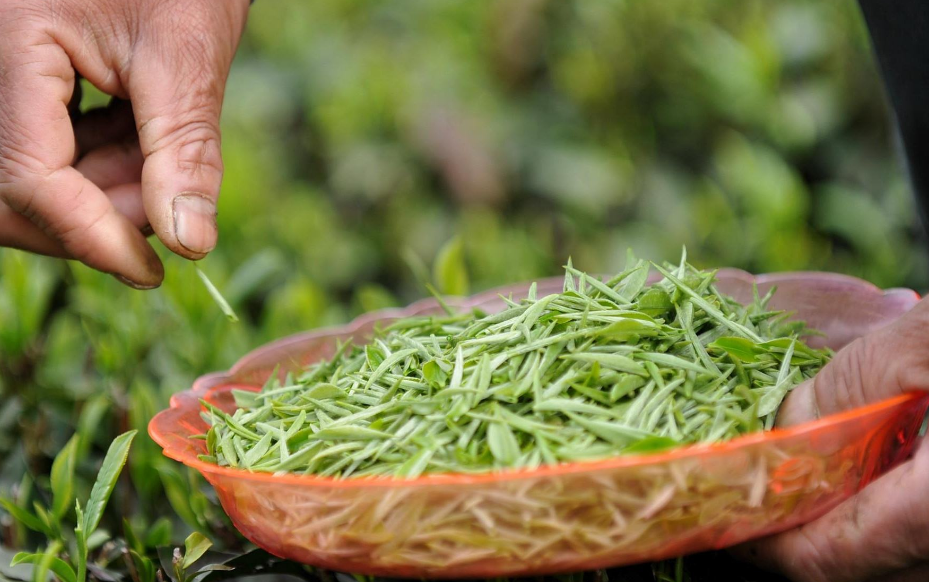 普洱茶包装内的保质期：何时失效？如何妥善保存以长其使用寿命？