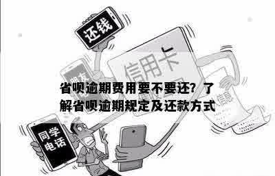 四年逾期的省呗：还款之路的反思与教训