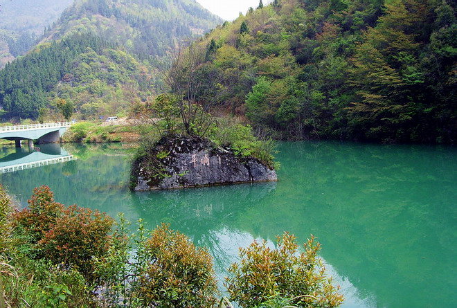 天山翠带出成色-天山翠带翠色值钱吗