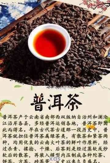 龙沧号的普洱茶