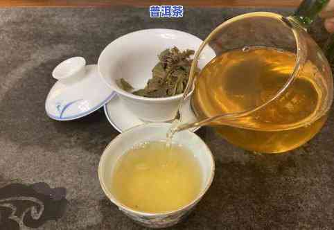 景星茶区普洱茶的口感特征及价格