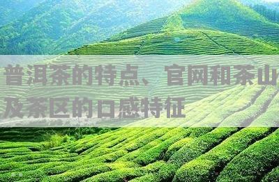 景星茶区普洱茶的口感特征及价格