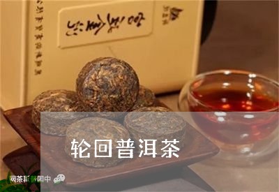 普洱茶7年轮回