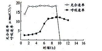 探究和田玉色彩变化与含水率的关系：影响其退色速度的因素分析