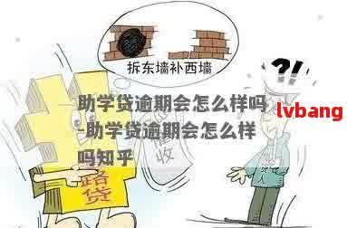 网贷逾期是否会对生源地助学贷款产生影响？了解详细情况及解决方案