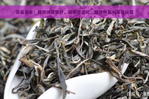 百福茶业：探索品质茶叶的魅力，品味茶文化的无限可能