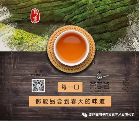 百福茶业：探索品质茶叶的魅力，品味茶文化的无限可能