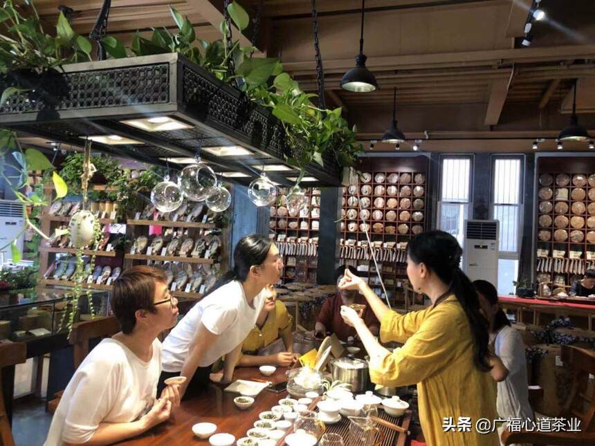 百福茶业：探索品质茶叶的魅力，品味茶文化的无限可能