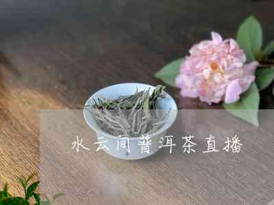 云芳普洱茶直播